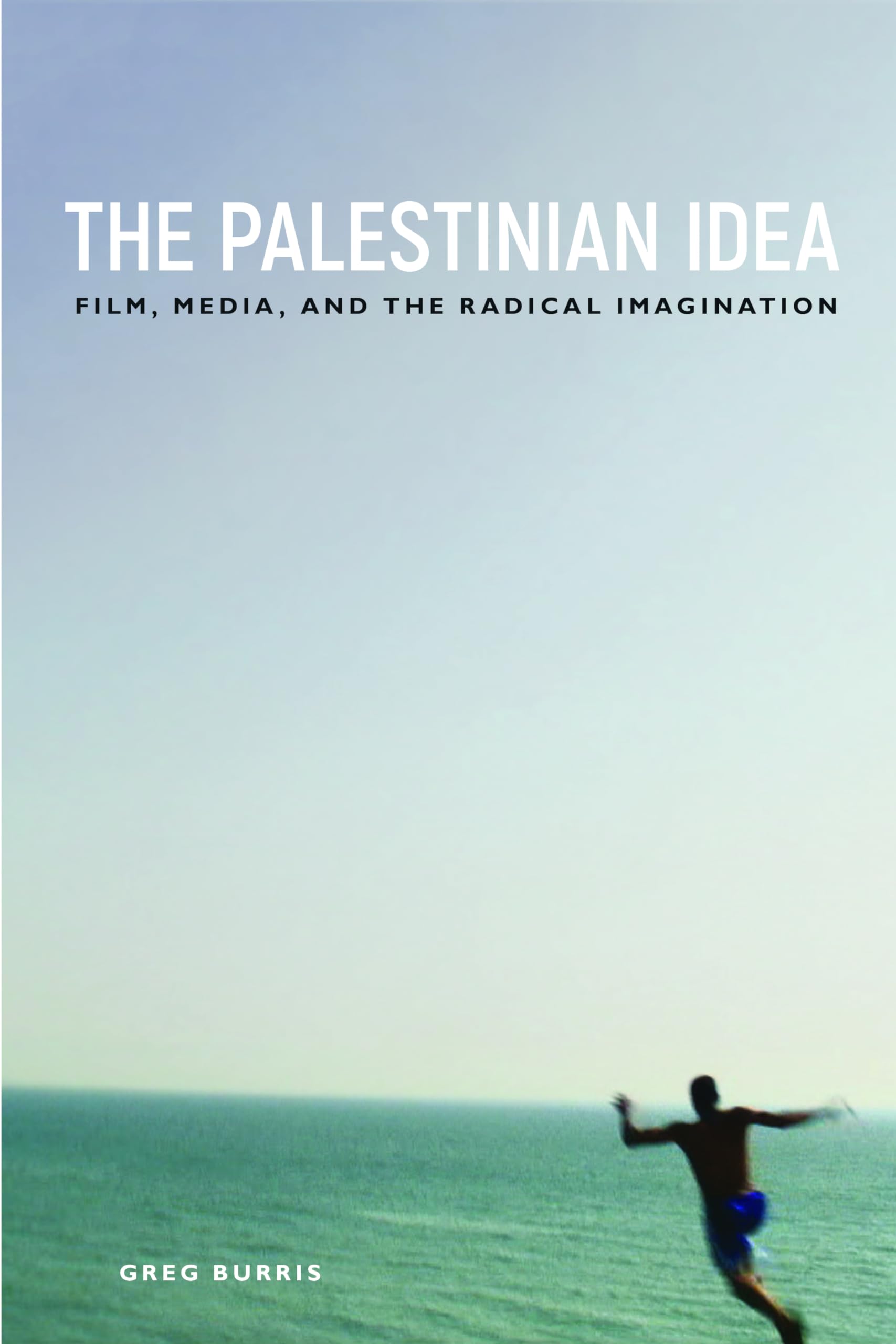 The Palestinian Idea: Film, Media, and the Radical Imagination (Insubordinate Spaces),Used