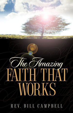 The Amazing Faith That Works,Used