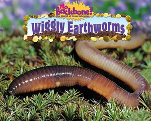 Wiggly Earthworms  NonFiction Reading for Grade 2, Developmental Learning for Young Readers  No Backbone! The World of Invert,Used