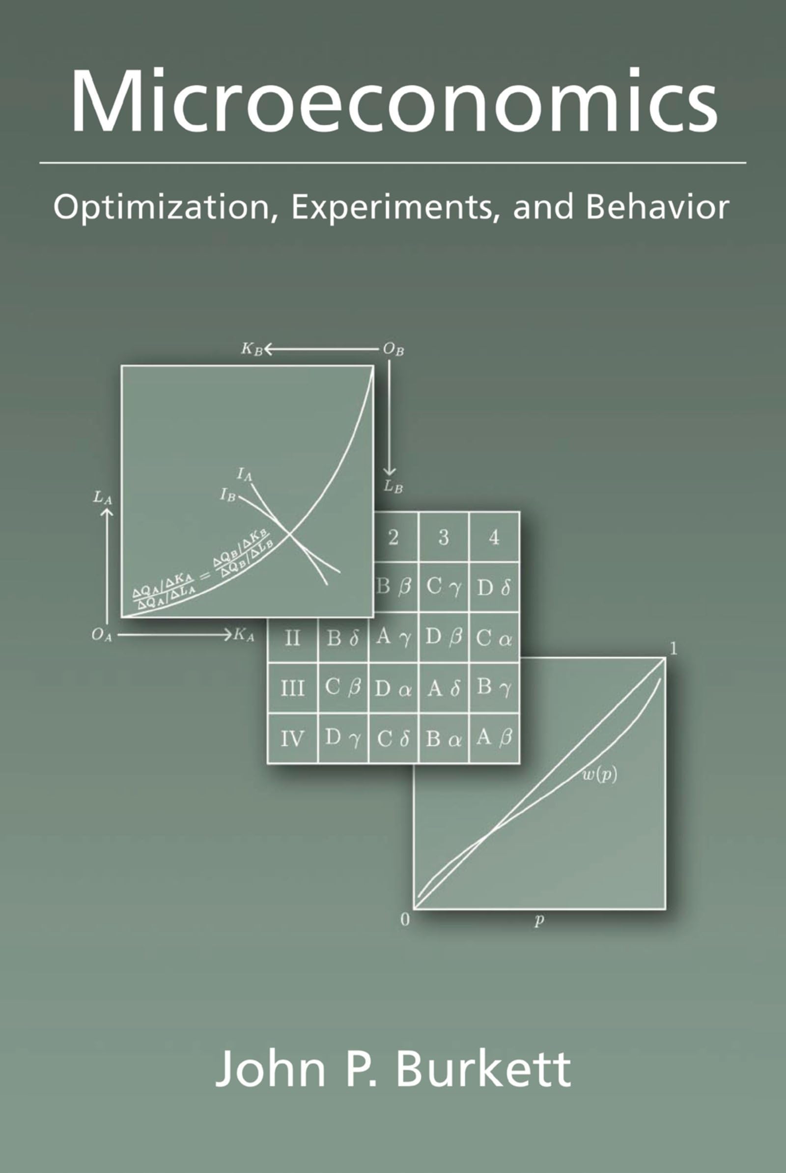 Microeconomics: Optimization, Experiments, and Behavior,Used