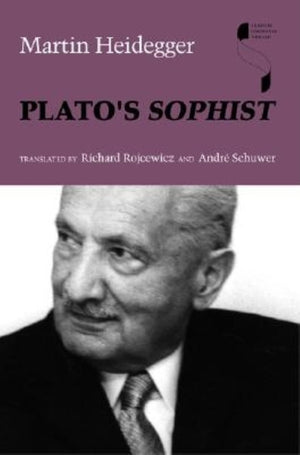 Plato's Sophist (Studies in Continental Thought),Used