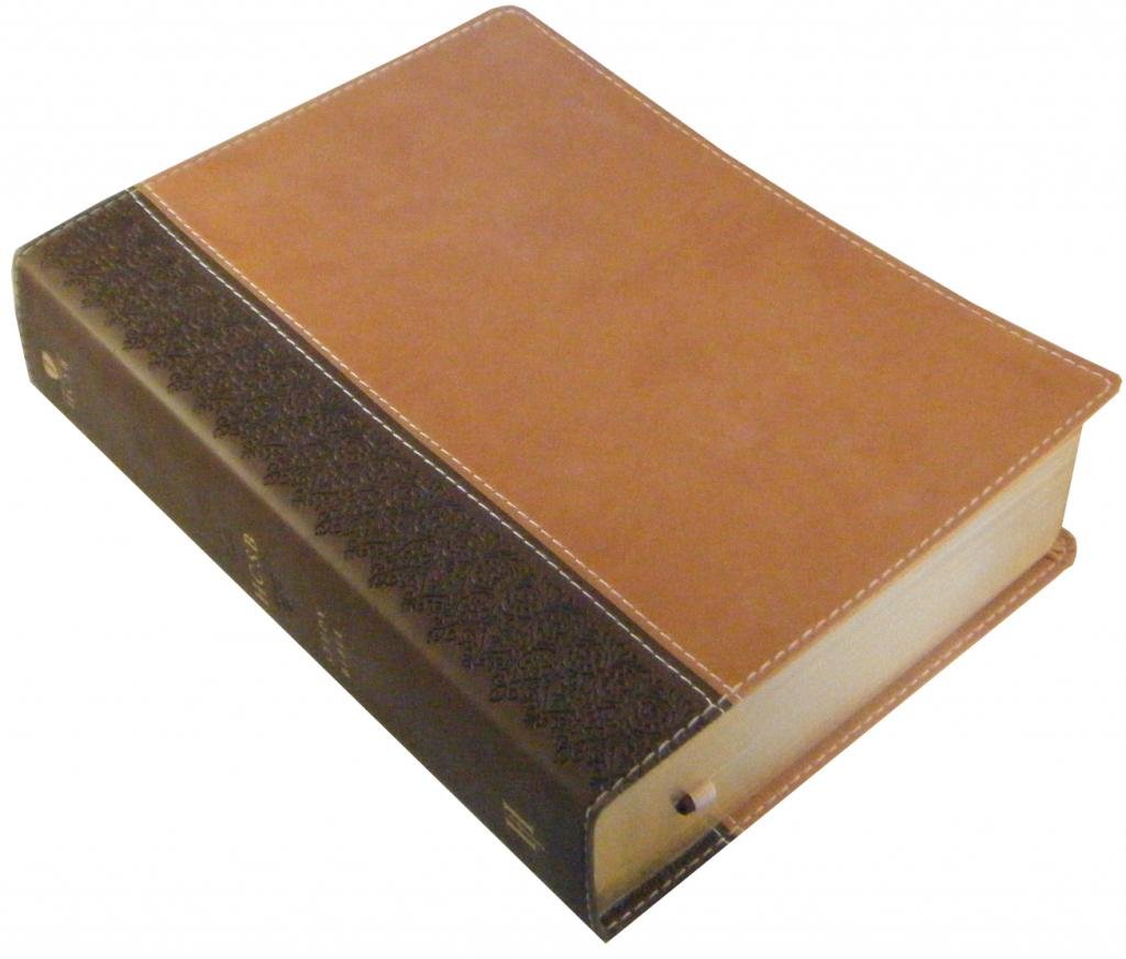 Hcsb Study Bible, Brown/Tan Duotone,Used
