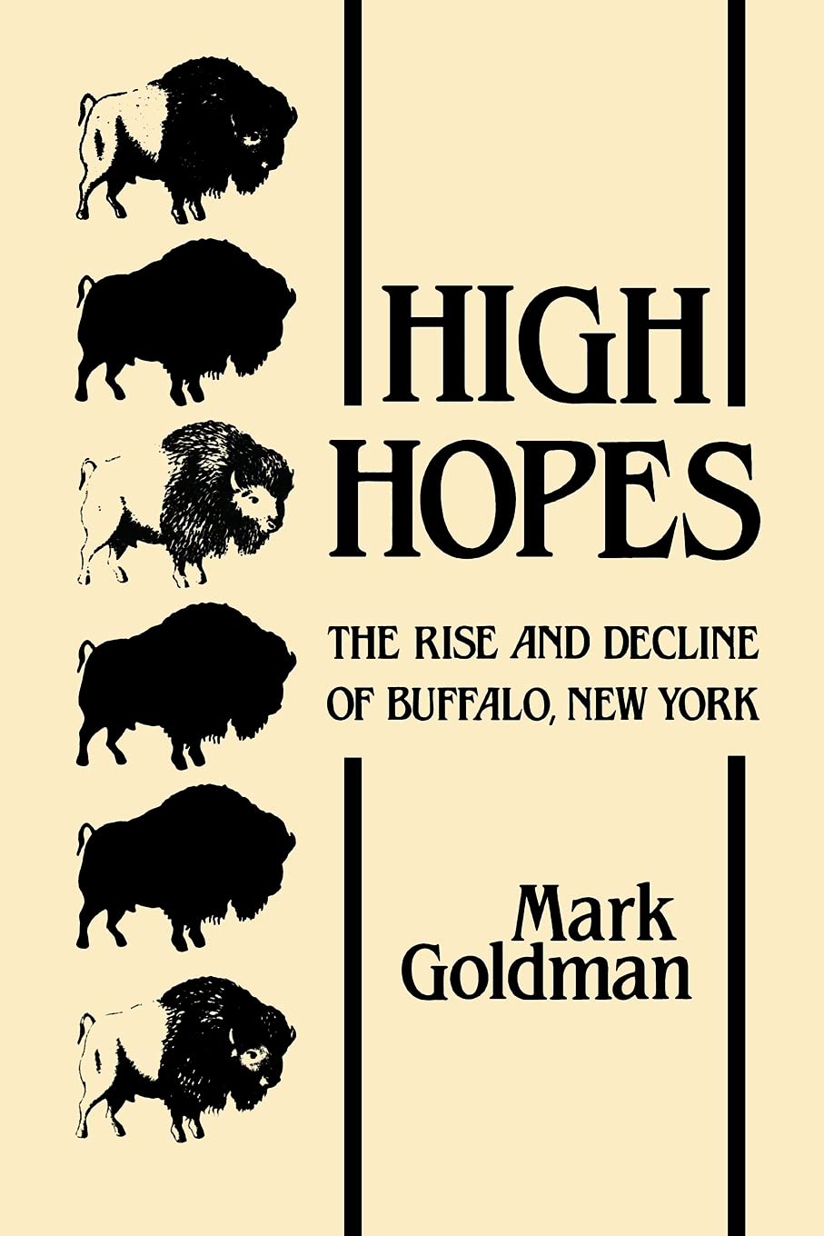 High Hopes: The Rise and Decline of Buffalo, New York,Used