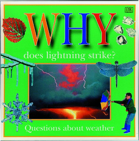 WHY DOES LIGHTNING STRIKE (Why Books, 1),Used