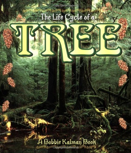 The Life Cycle of a Tree,Used