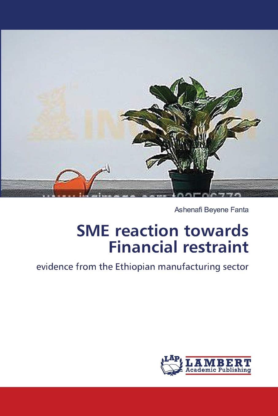 SME reaction towards Financial restraint: evidence from the Ethiopian manufacturing sector,Used