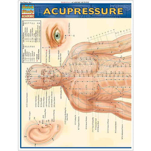 Acupressure Laminated Reference Guide (Quickstudy Academic)