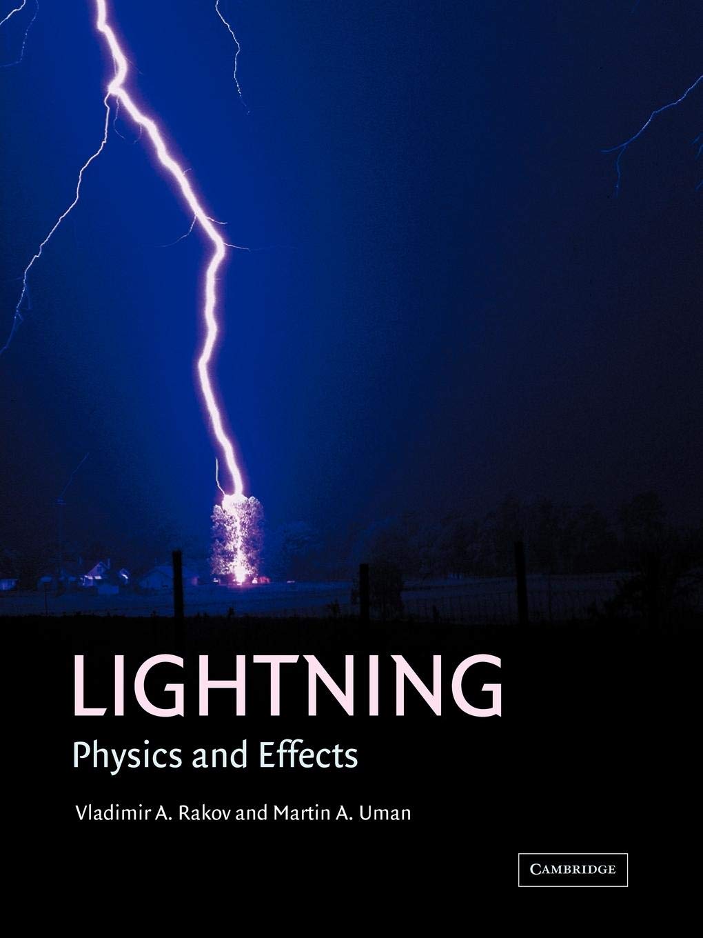 Lightning: Physics and Effects,New