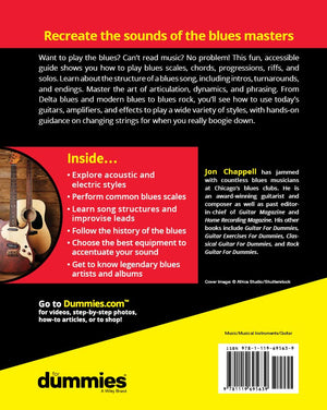Blues Guitar For Dummies (For Dummies (Music)),Used