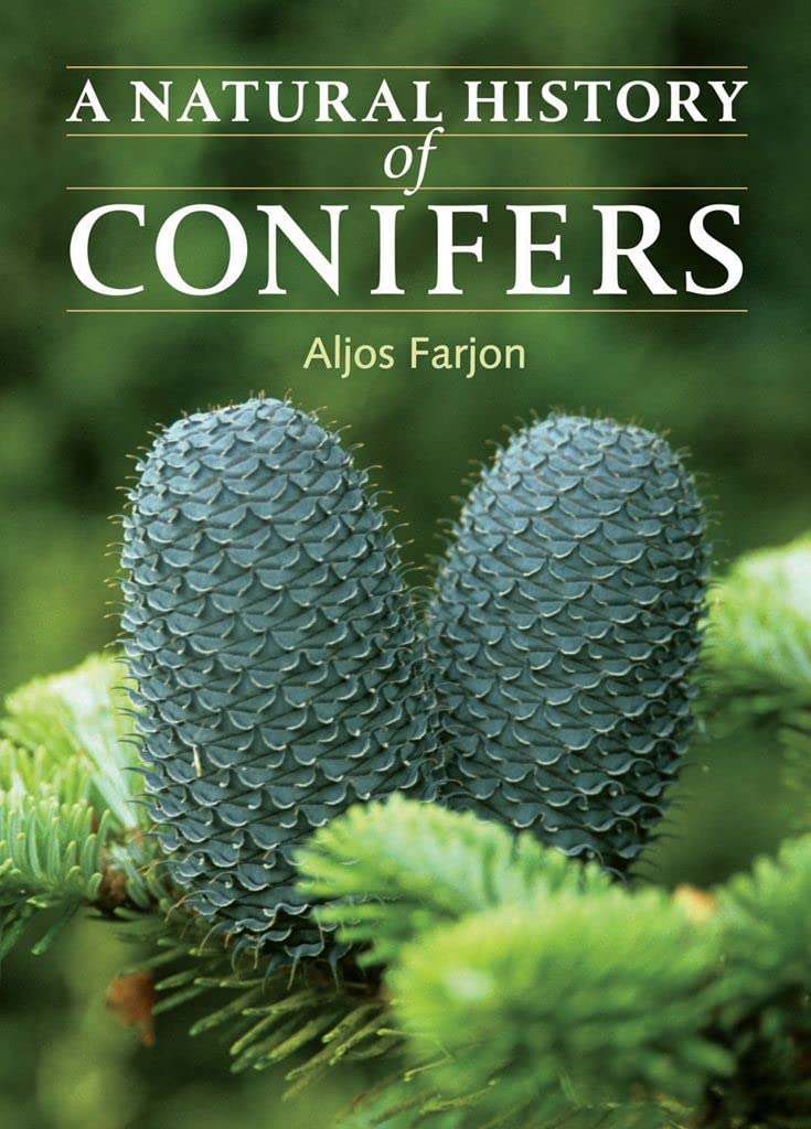 A Natural History Of Conifers,New