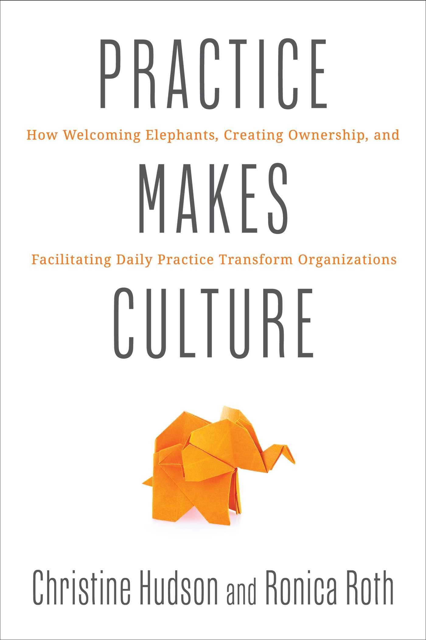 Practice Makes Culture: How Welcoming Elephants, Creating Ownership, And Facilitating Daily Practice Transform Organizations