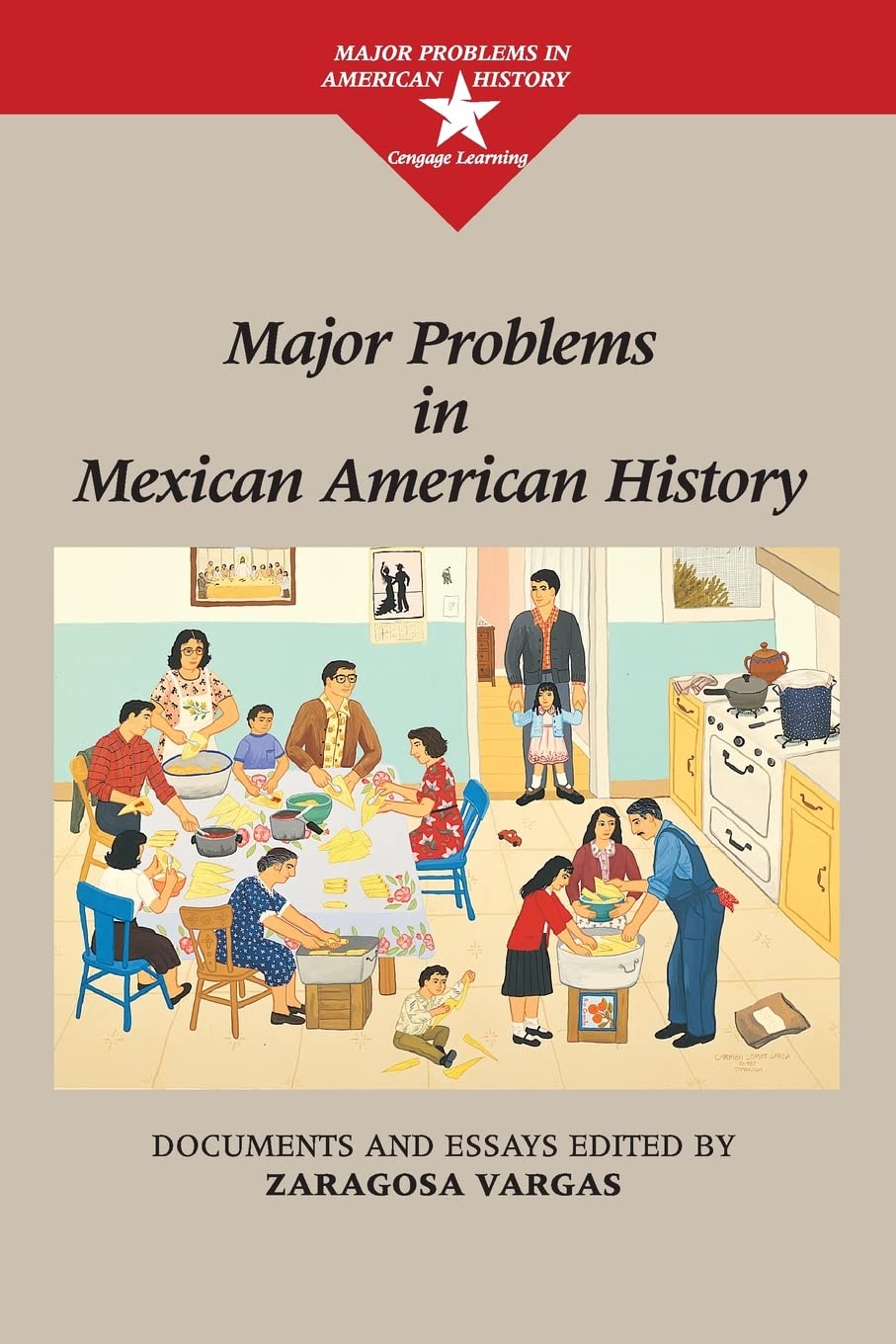 Major Problems in Mexican American History (Major Problems in American History Series),Used