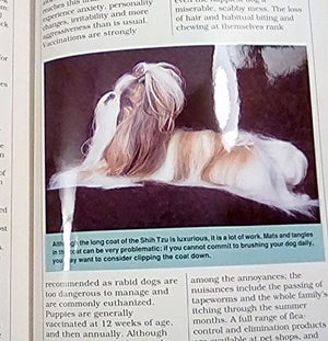 Shih Tzu (Popular Dog Library),Used