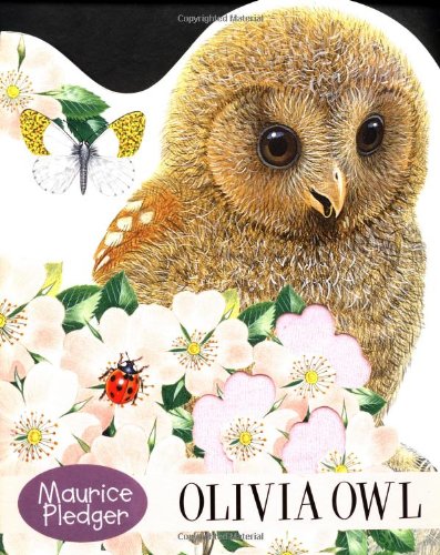 Olivia Owl Board Book,Used