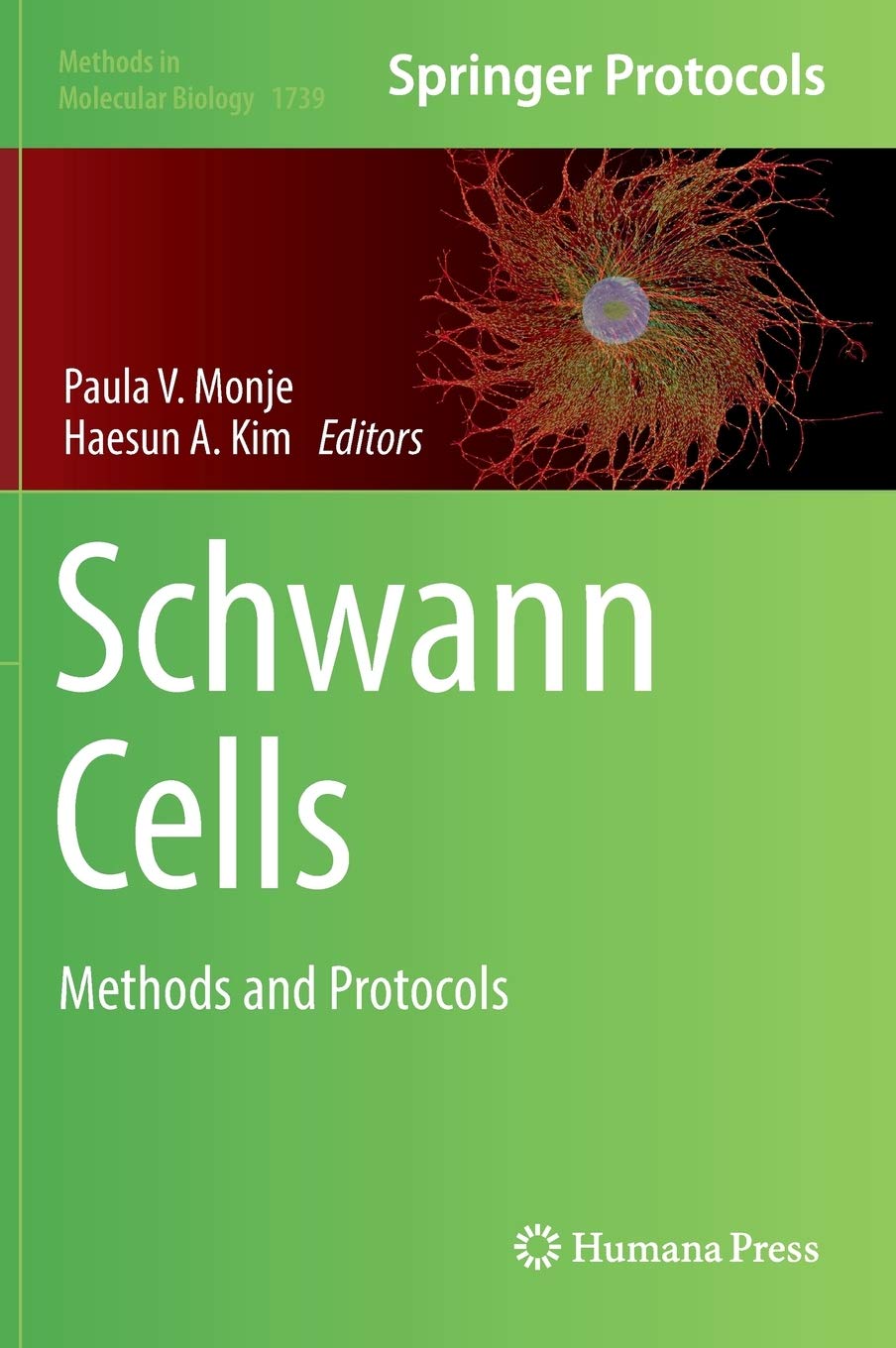 Schwann Cells: Methods and Protocols (Methods in Molecular Biology, 1739),Used