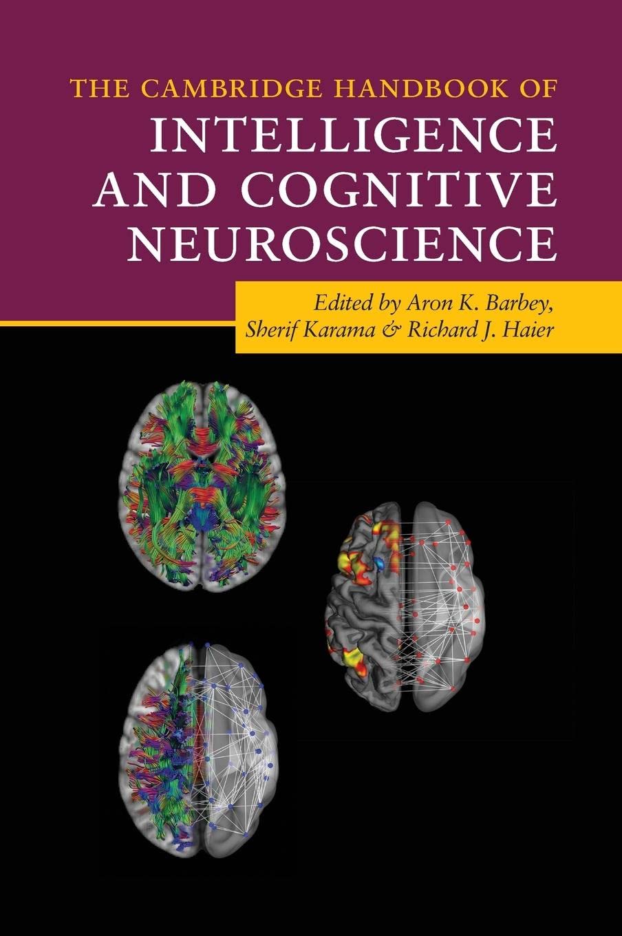 The Cambridge Handbook of Intelligence and Cognitive Neuroscience,Used