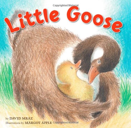 Little Goose,Used