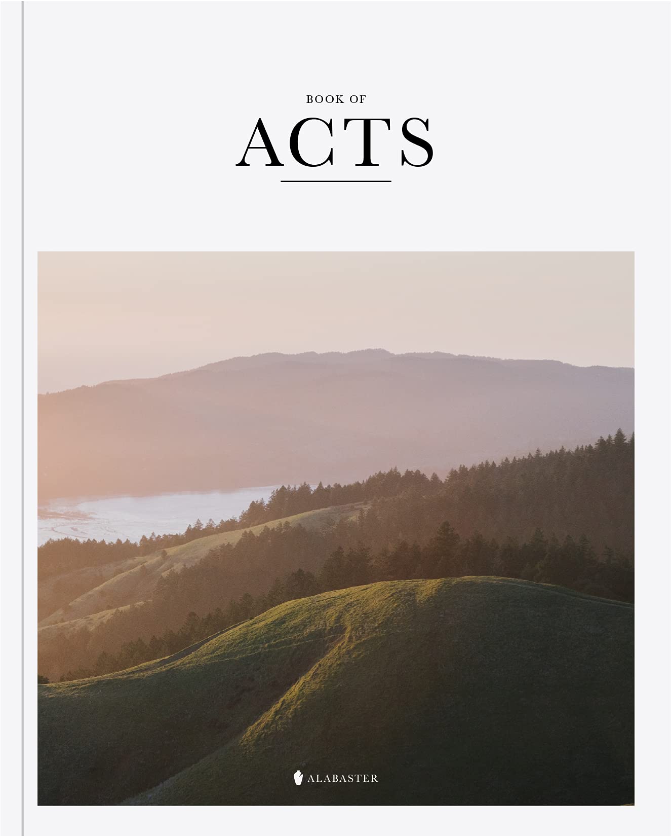 Book of Acts  Alabaster Bible,New
