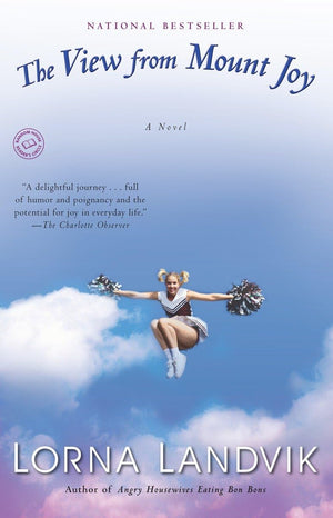 The View From Mount Joy: A Novel,Used
