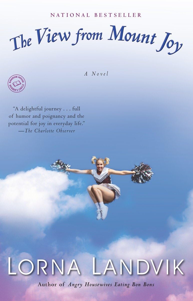 The View From Mount Joy: A Novel,Used