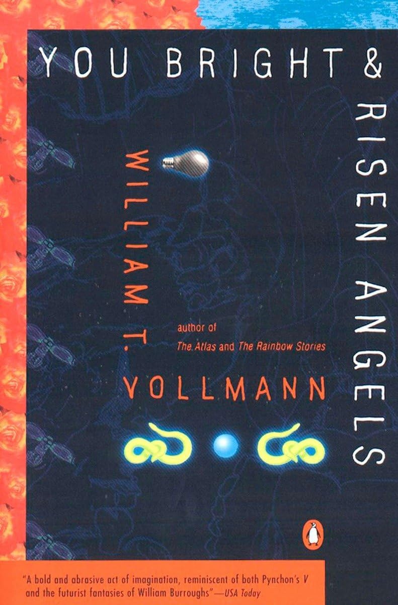 You Bright and Risen Angels (Contemporary American Fiction),Used