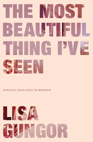 The Most Beautiful Thing I've Seen: Opening Your Eyes to Wonder,Used