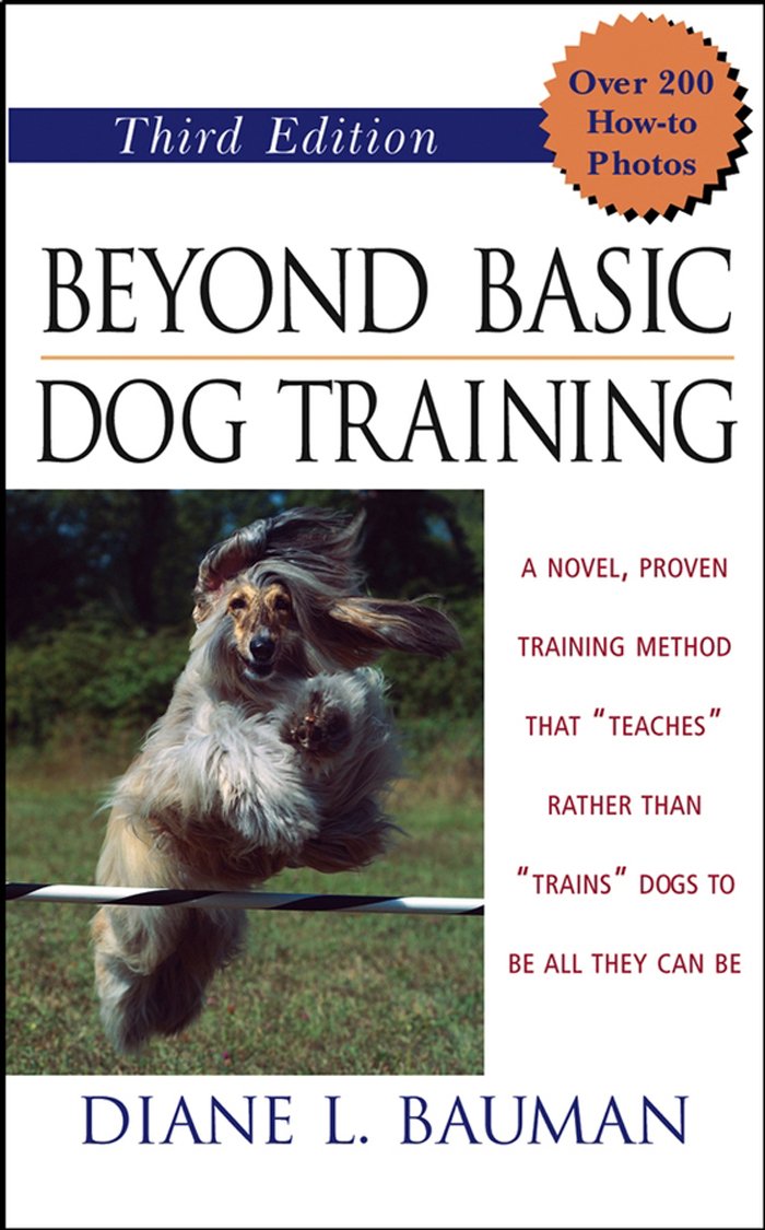 Beyond Basic Dog Training,Used