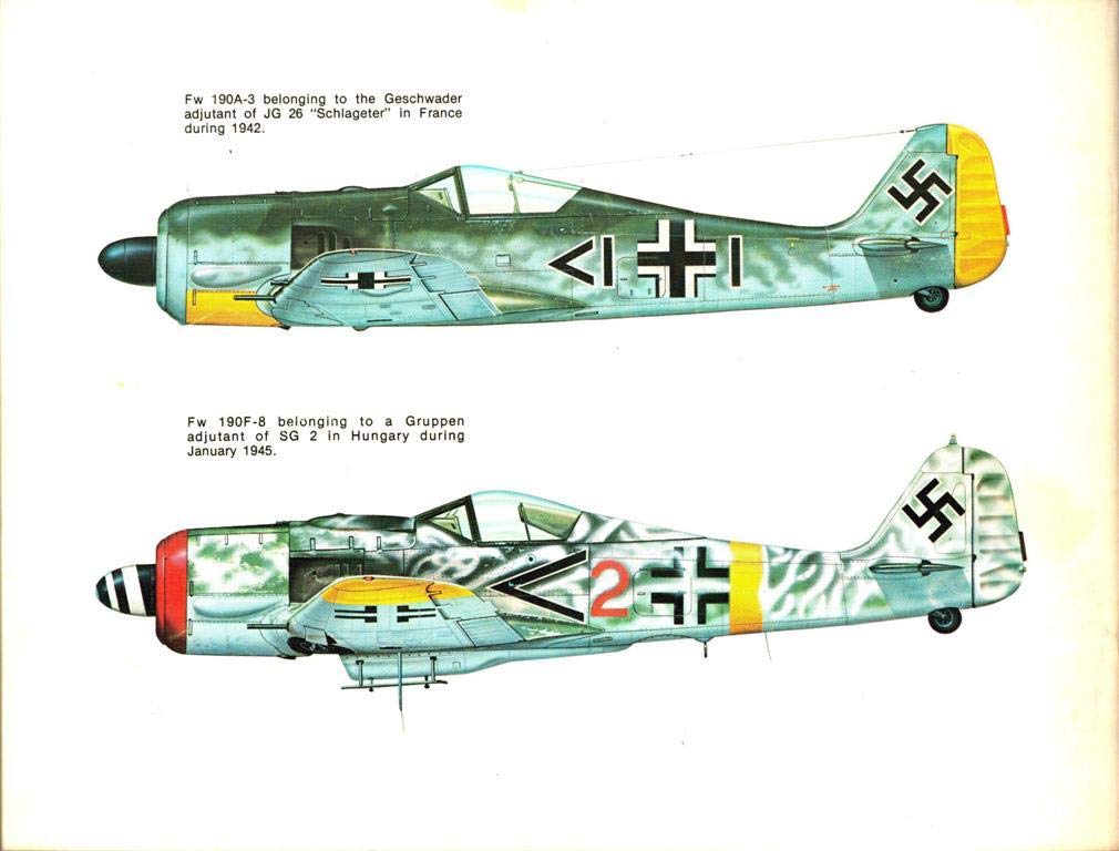 FockeWulf FW 190 in Action  Aircraft No. 19,Used