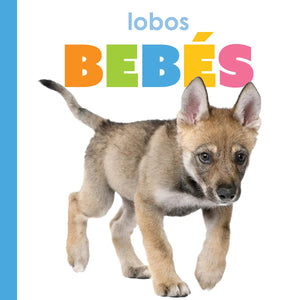 LOBOS BEBES