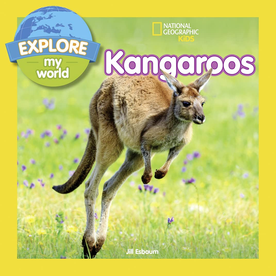 Explore My World: Kangaroos,Used