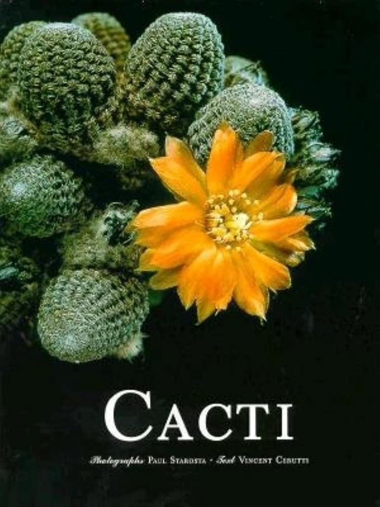 Cacti,Used