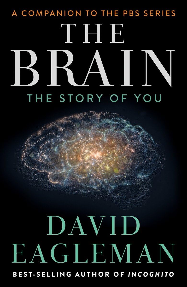 The Brain: The Story Of You