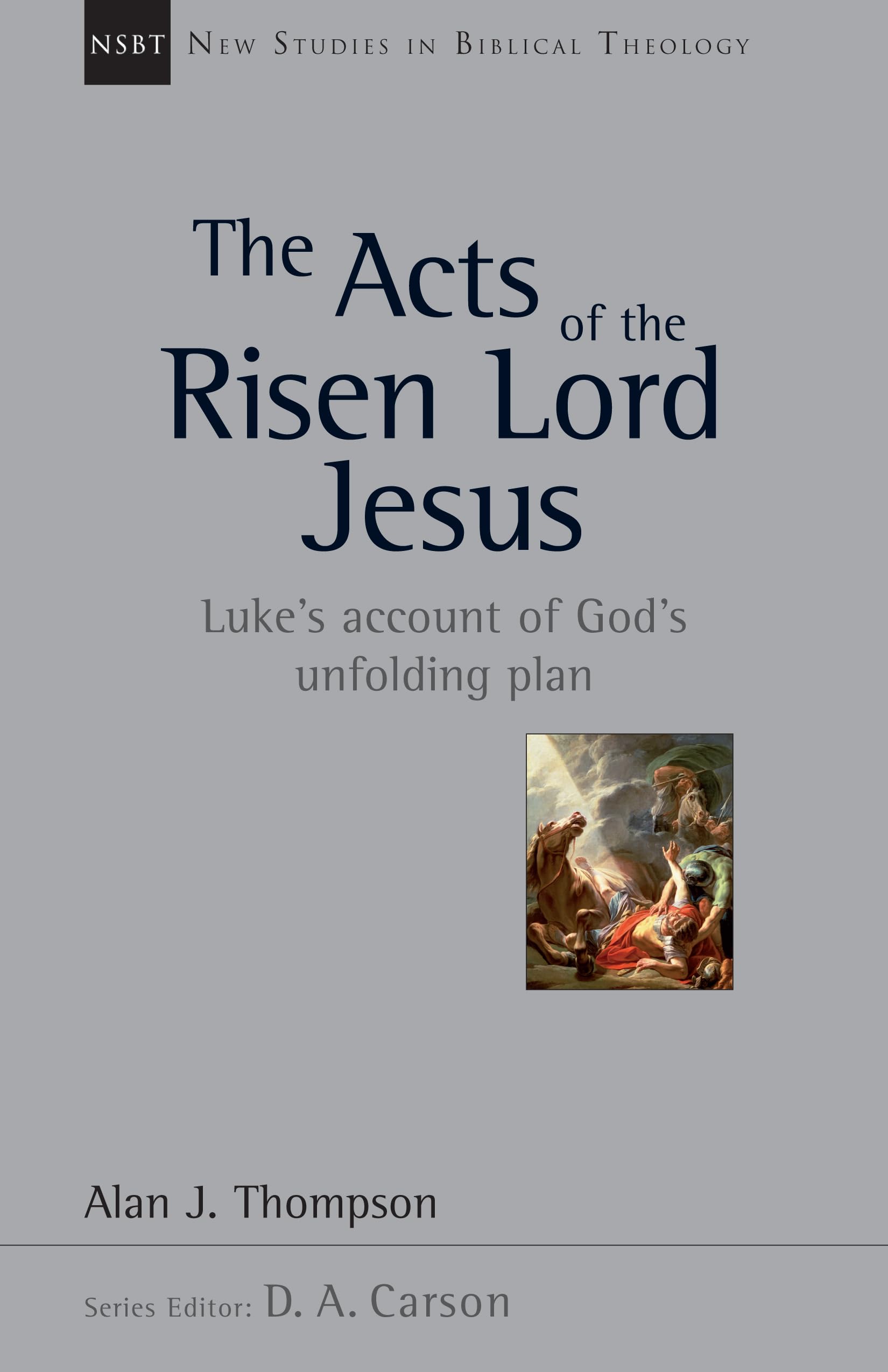 The Acts of the Risen Lord Jesus: Luke's Account of God's Unfolding Plan (Volume 27) (New Studies in Biblical Theology),Used