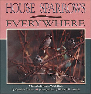 House Sparrows Everywhere (Nature Watch),Used