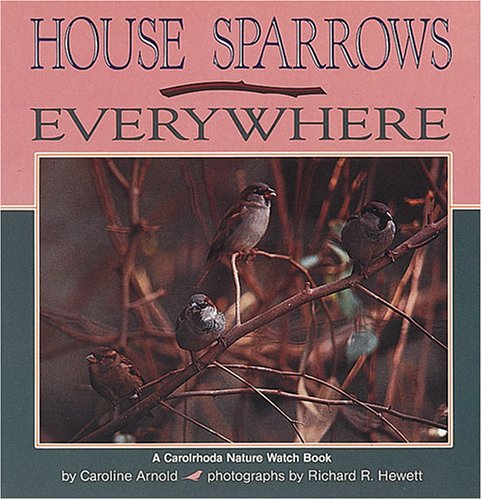 House Sparrows Everywhere (Nature Watch),Used