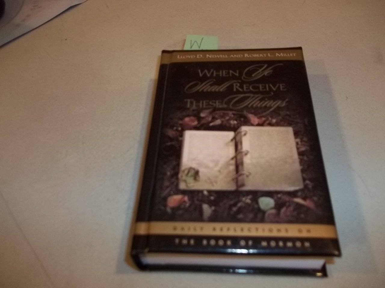 When Ye Shall Receive These Things: Daily Reflections on the Book of Mormon,New