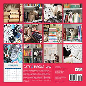 Cats & Books 2022 Wall Calendar,New