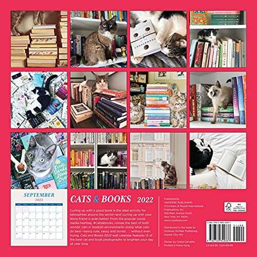 Cats & Books 2022 Wall Calendar,New