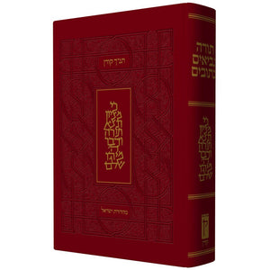 Israel Presentation Biblefldeluxe Large Size Tanakh (Hebrew Edition)