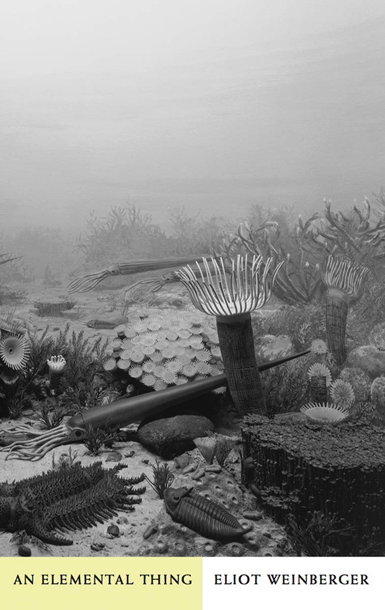 An Elemental Thing,New