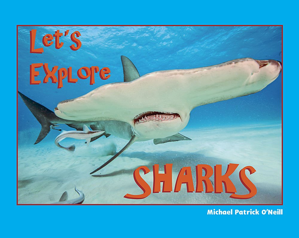 Let'S Explore Sharks,New