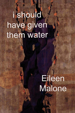 I Should Have Given Them Water (Ragged Sky Poetry),Used