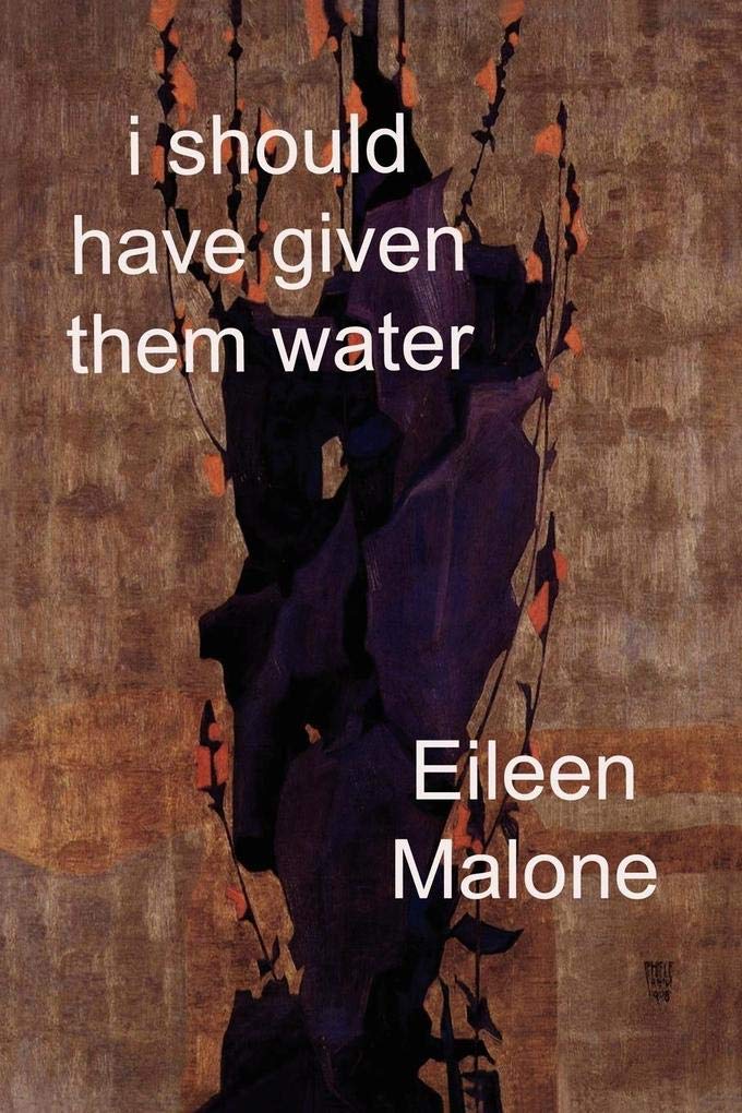 I Should Have Given Them Water (Ragged Sky Poetry),Used