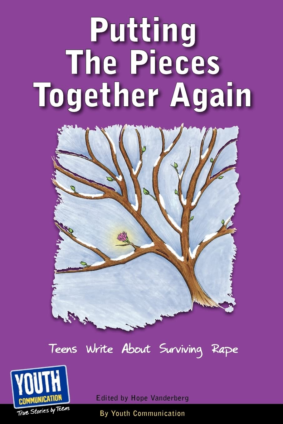 Putting The Pieces Together Again: Teens Write About Surviving Rape,Used