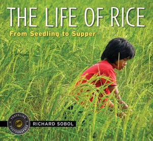 The Life of Rice: From Seedling to Supper (Traveling Photographer),Used