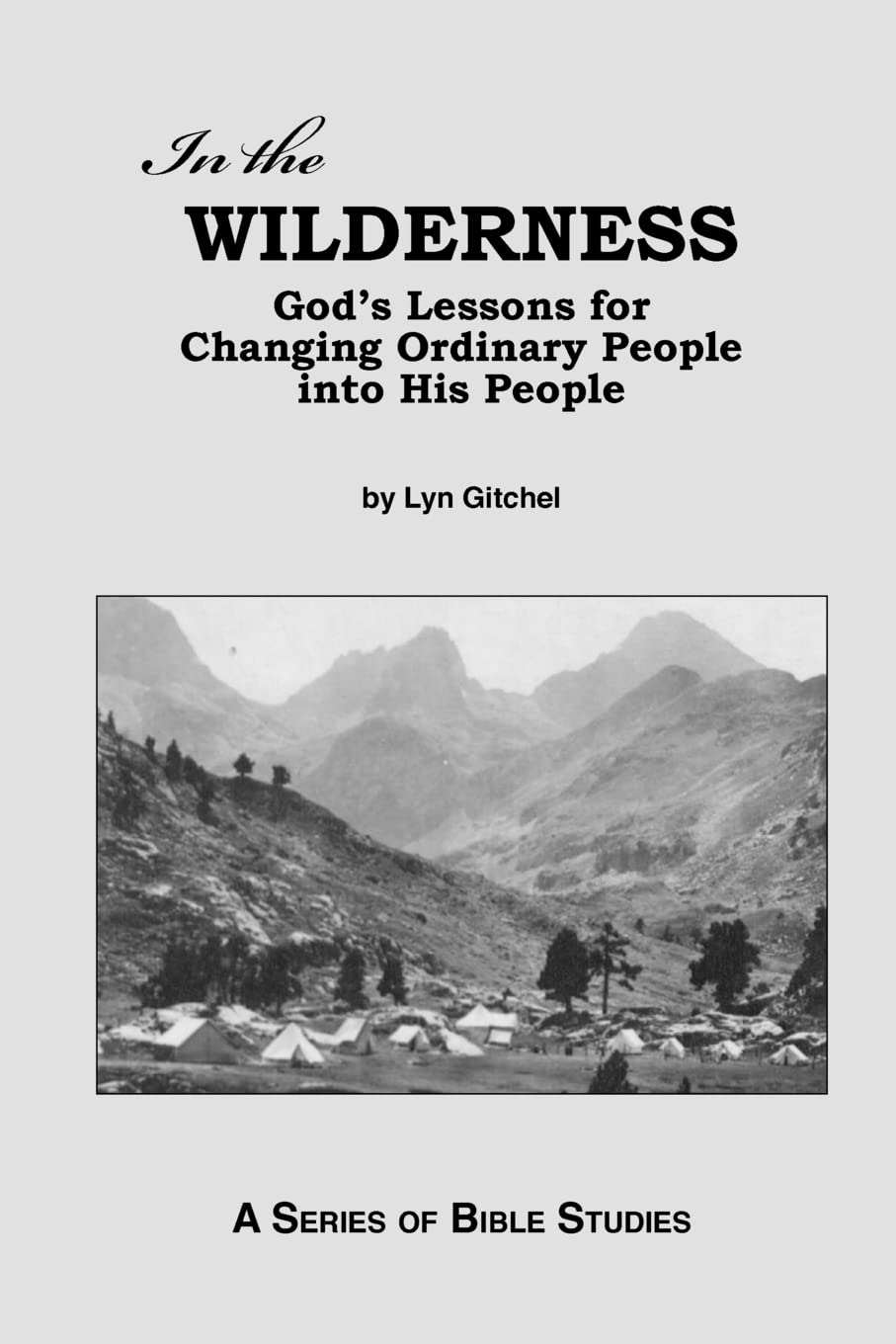 In The Wilderness: God'S Lessons For Changing Ordinary People Into His People,New