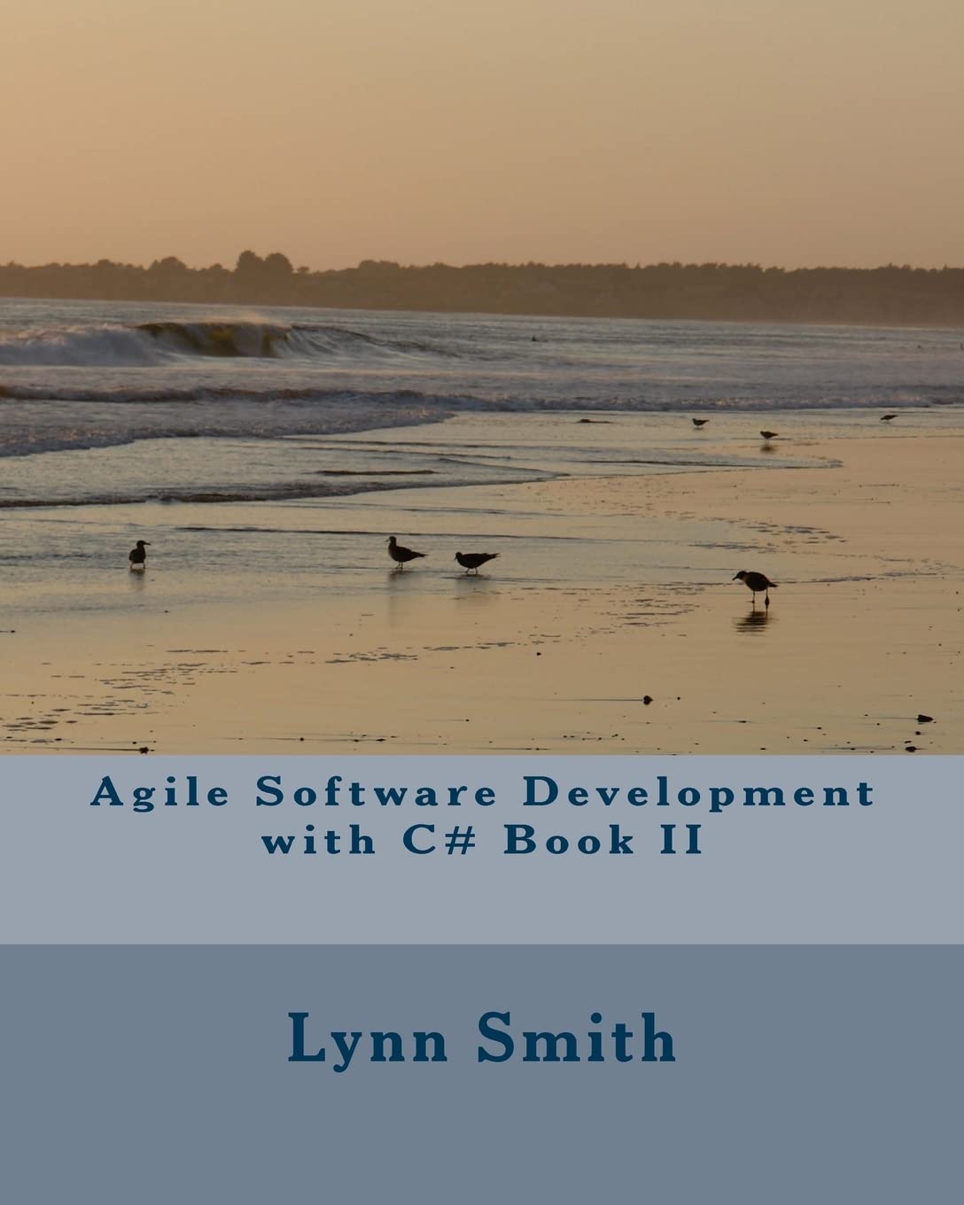 Agile Software Development with C# Book II,Used