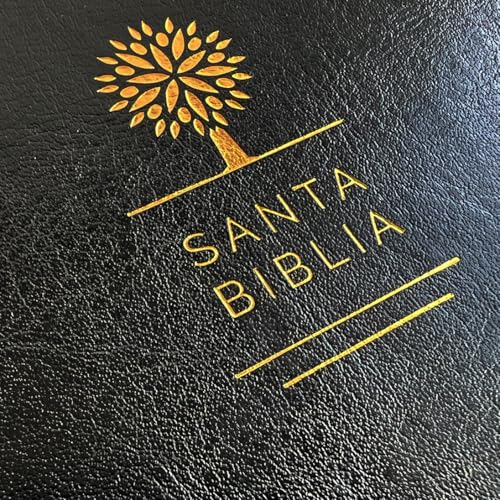 Biblia Reina Valera 1960 Letra Grande. Smil Piel Color Negro, Tamao Manual / Spanish Holy Bible Rvr 1960. Handy Size, Large Prin
