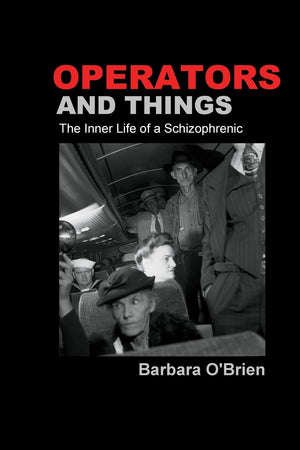 Operators And Things: The Inner Life Of A Schizophrenic