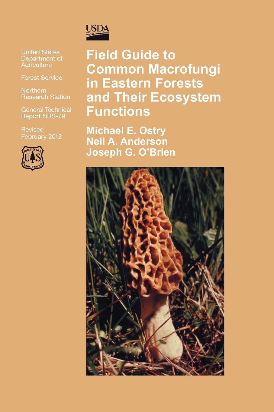 Field Guide To Common Macrofungi In Eastern Forests And Their Ecosystem Function,Used